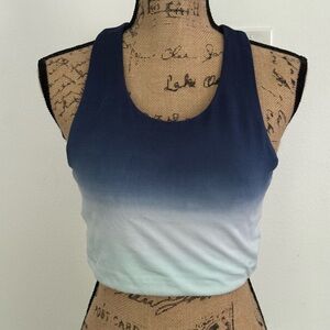 Marc New York Ombre Navy and White Crop Top